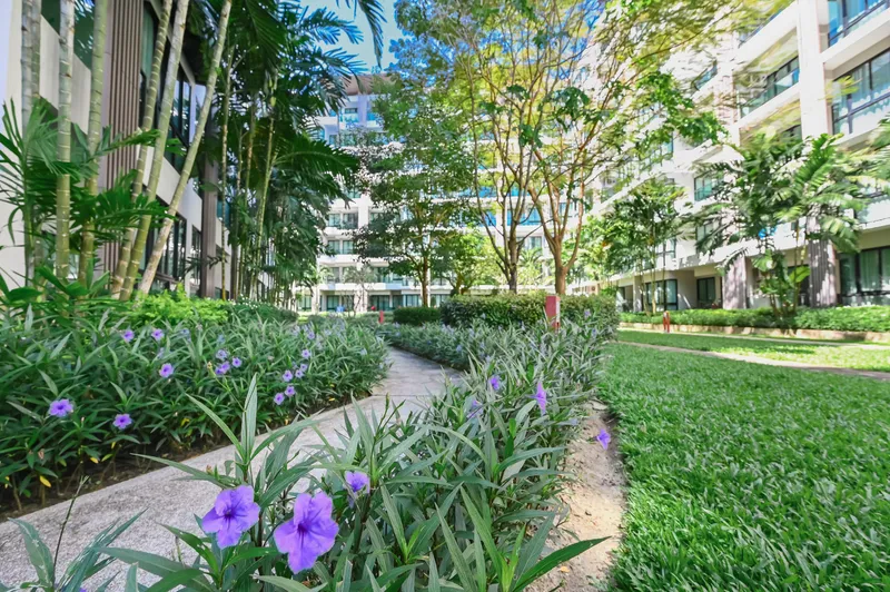 Studio 31 sqm in Royal Lee The Terminal Phuket (Nai Yang) · photo