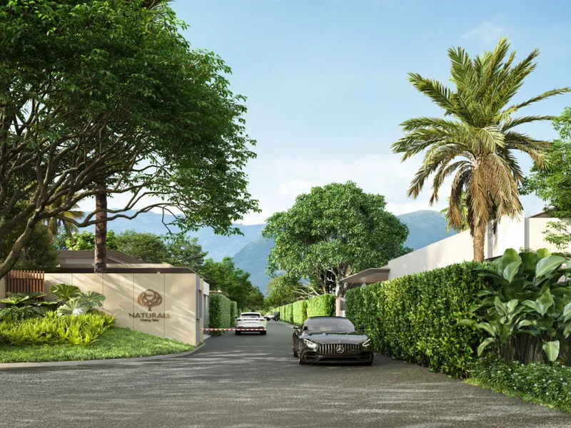 Villa 3-bedroom 207 sqm in Naturale Villas Cherng Talay (Bang Tao) · Developer render